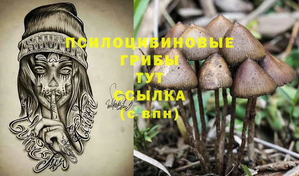гашишное масло Алексеевка